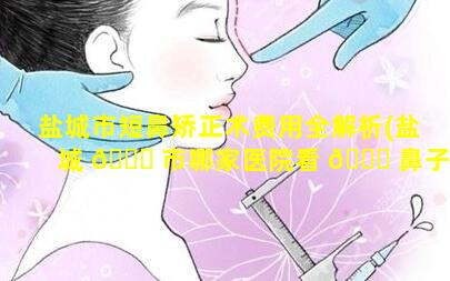 盐城市短鼻矫正术费用全解析(盐城 🐈 市哪家医院看 💐 鼻子效果比较好的)